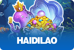 Haidilao game artwork