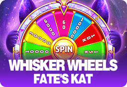Whisker Wheels Fate's Kat game artwork